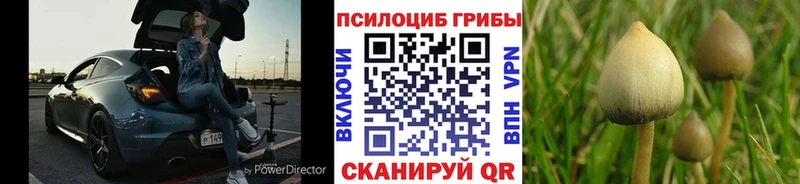 Псилоцибиновые грибы Psilocybine cubensis  кракен маркетплейс  Жигулёвск 